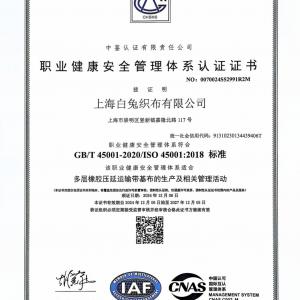 职业健康安全管理体系